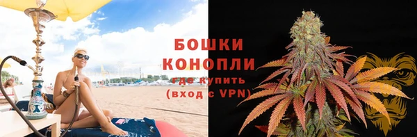 ПСИЛОЦИБИНОВЫЕ ГРИБЫ Баксан